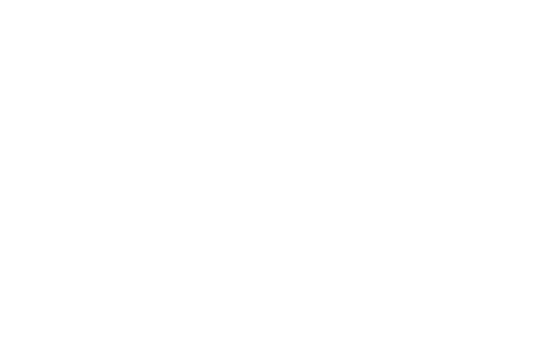 Brito iPhones